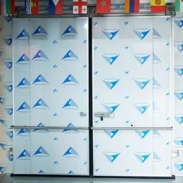 Automatic Sliding Door-s1