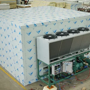 Integrated cold storage